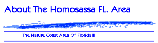 Your Logo Here!